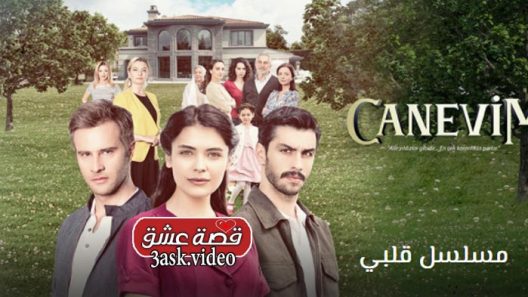 مسلسل قلبي الحلقة 17 والاخيرة مترجم