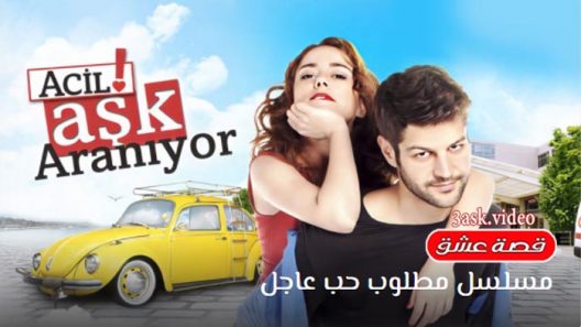 مسلسل مطلوب حب عاجل الموسم الثاني الحلقة 7 والاخيرة مترجم