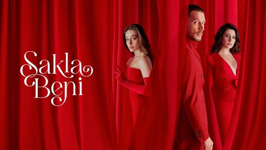 مسلسل خبئني الحلقة 26 مترجم – الأخيرة